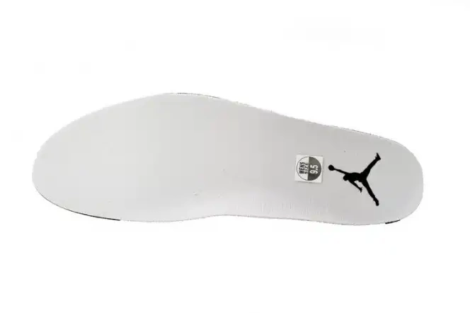 Rep AQ9129-001 4 Air Moments Jordan WMNS Frozen 0416